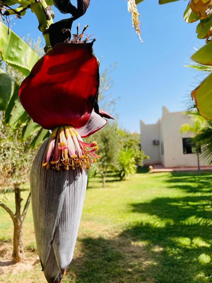 מרקש Villa Msholidays Victoria Privatisee Marrakech מראה חיצוני תמונה